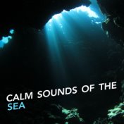 Calm Sounds of the Sea