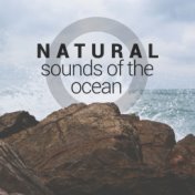 Natural Sounds of the Ocean