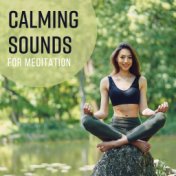 Calming Sounds for Meditation
