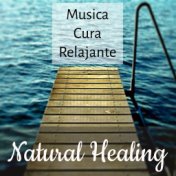 Natural Healing - Musica Yoga Cura Relajante para Desarrollo de la Mente Reducir la Ansiedad y Sanar el Alma con Sonidos de la N...