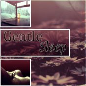 Gentle Sleep - Sounds of Nature for Deep Sleep, Good Night, White Noise Music for Sleep Disorders, Insomnia Cures, Relaxation Mu...