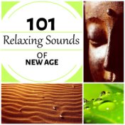 Relaxing Sounds of New Age 101 - Healing Affirmations, Mindfulness and Serenity Spa Music, Sleep Deep meditation, Fulfilled Medi...