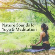 Nature Sounds for Yoga & Meditation