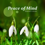 Peace of Mind: Serenity Music – Soothing Music for Relaxation, Destress, Anxiety Free, Positive Attitude, Relaxing Background Mu...