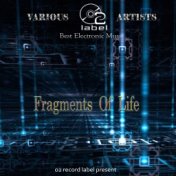 Fragments of Life