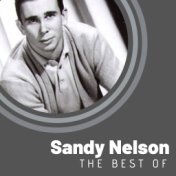 The Best of Sandy Nelson