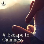 # Escape to Calmness (Soothing Nature Sounds for Meditation, Relaxation, Spa, Sleep, Study)