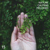 15 Nature Calming Melodies: 2019 New Age Nature Songs for Total Relax & Calming Down, Soothing Forest, Wind, Birds & Water Sound...