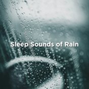 Sleep Sounds Of Rain