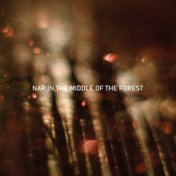 Nap in the Middle of the Forest: 2019 New Age Nature Music Selection Created for Perfect Sleep Experience, Restful Nap, Calm Dow...