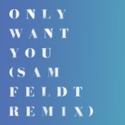 Only Want You (Sam Feldt Remix)