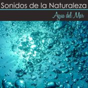 Sonidos de la Naturaleza - Agua del Mar, Sonido Relajante del Mar, Ruido Blanco para Sanar el Alma