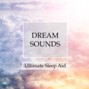 Dream Sounds Oasis - Ultimate Sleep Aid for Deep Lucid Dreams, Relaxation, Transcendental Meditation and Better Mental Health Th...