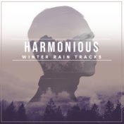 #18 Harmonious Winter Rain Tracks from Mother Nature