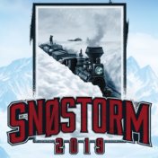 Snøstorm (2019)