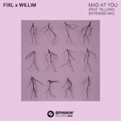 Mad At You (feat. Pillows) (Extended Mix)