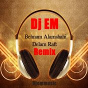 Delam Raft (Remix)