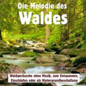 Die Melodie des Waldes, Waldgeräusche ohne Musik, zum Entspannen, Einschlafen oder als Hintergrundbeschallung