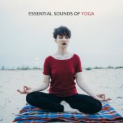 Essential Sounds of Yoga: Ambient Selection for Training Yoga Poses, Contemplation, Deep Meditation, Mental Soft Healing, Increa...