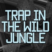 Trap In The Wild Jungle