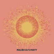 Malibu DJ's Party
