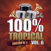 100% Tropical, Vol. 6
