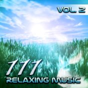 111 Relaxing Tracks Vol. 2 – Spa, Massage, Relaxation, Meditation, Reiki, Yoga, Sleep Therapy, Relax Sessions, Natural White Noi...