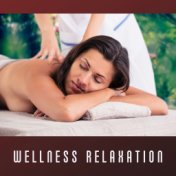 Wellness Relaxation – Soft Nature Sounds for Spa, Healing, Pure Massage, Music to Calm Down, Zen, New Age Spa Music, Chillout, D...