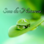 Sons da Natureza - Meditação e Espiritualidade New Age, Canciones para Dormir, Música para Relaxar, Estresse e Sono, Musica Rela...