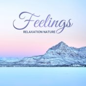 Relaxation Nature Feelings: 2019 Nature Music with Instrumental Melodies for Relax, Rest and Calm Nerves, Beautiful Sounds of Wa...
