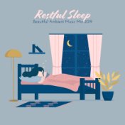 Restful Sleep Beautiful Ambient Music Mix 2019