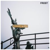 Frost