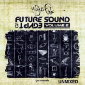 Future Sound Of Egypt, Vol. 2