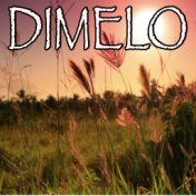 Dimelo - Tribute to Rak-Su, Wyclef Jean and Naughty Boy