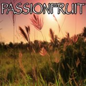 Passionfruit - Tribute to Drake