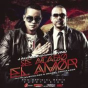 Se Acabo el Amor (Remix)