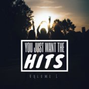 You Just Want The Hits. Vol I