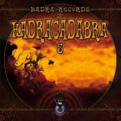 Hadracadabra , Vol. 5