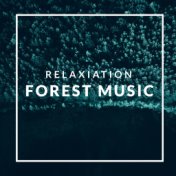 Relaxiation Forest Music – Birds, Water, Wind, Nature, Spring