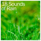 18 Sounds of Rain for Stress Relief, Spa Relaxation and Meditation