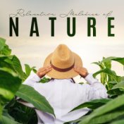 Relaxation Melodies of Nature: 2020 Sounds of Nature with Piano Music Composed for Total Relaxation, Deep Rest and Calm Nerves