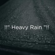 !!" Heavy Rain "!!
