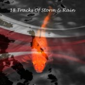 18 Tracks Of Storm & Rain