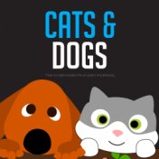 Cats & Dogs
