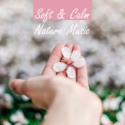 Soft & Calm Nature Music – Relaxing Melodies to Calm Down, Peaceful Music, Sounds to Relax, Best Background New Age