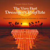 The Very Best Dreams of Panflute
