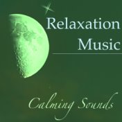 Relaxation Music: Calming Sounds of Nature for Meditation Beginners – Chill Out Music for Reiki, Yoga Morning Salutation & Zen
