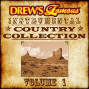 Drew's Famous Instrumental Country Collection, Vol. 1