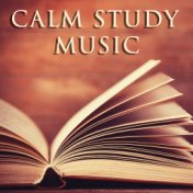 Calm Study Music