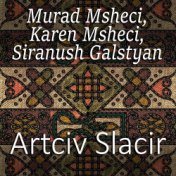 Artciv Slacir